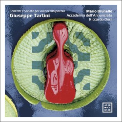 Concerti e Sonate per violoncello Piccolo by Giuseppe Tartini ;   Mario Brunello ,   Accademia dell’Annunciata ,   Riccardo Doni