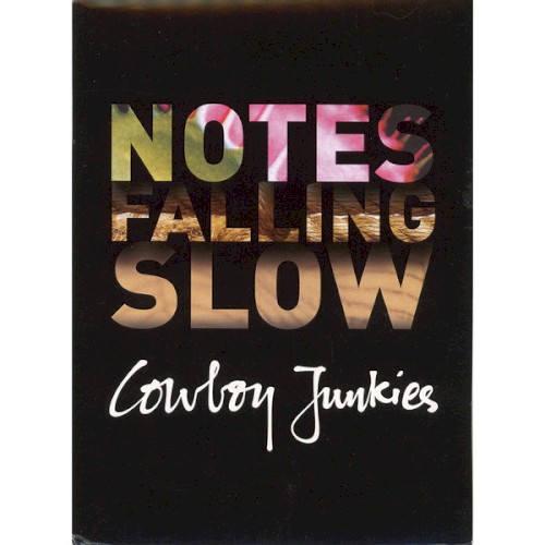 Notes Falling Slow