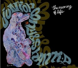 The Meaning of Life by Junior Cony  &   Shanti D