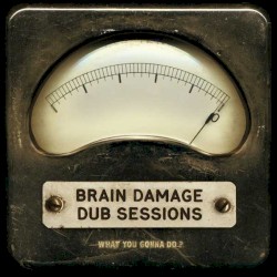 What You Gonna Do? by Brain Damage