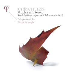 O dolce mio tesoro by Carlo Gesualdo ;   Collegium Vocale Gent ,   Philippe Herreweghe