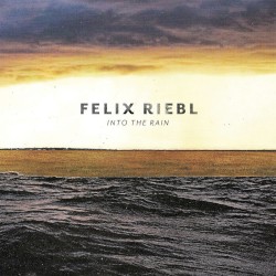 Into the Rain by Felix Riebl
