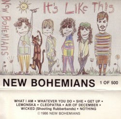 It's Like This by New Bohemians