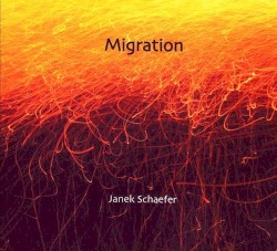 Migration by Janek Schaefer