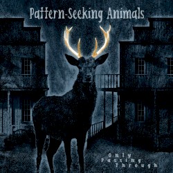 Only Passing Through by Pattern-Seeking Animals