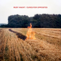 Cures for Opposites by Ruby Haunt