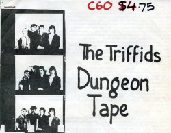 Dungeon Tape by The Triffids