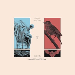 Faces of the Moving Year by Ostraca  &   Flesh Born