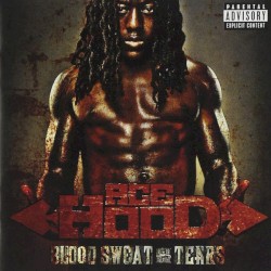 Blood Sweat & Tears by Ace Hood