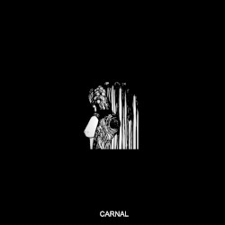 Carnal by Aseptic Void