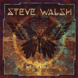Black Butterfly by Steve Walsh