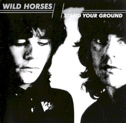 Stand Your Ground by Wild Horses