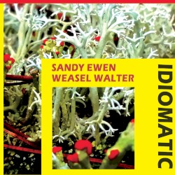 Idiomatic by Sandy Ewen  /   Weasel Walter