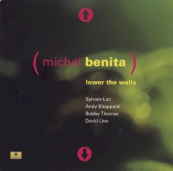 Lower the Walls by Michel Benita