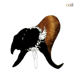 Black Antlers by Coil