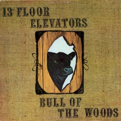 Bull of the Woods by 13th Floor Elevators