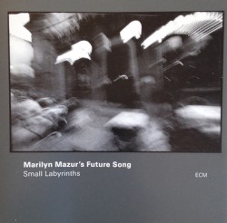 Small Labyrinths by Marilyn Mazur's Future Song