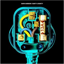 Sanity and Gravity by Gavin Harrison