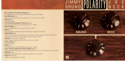 Polarity by Jimmy Bruno  &   Joe Beck
