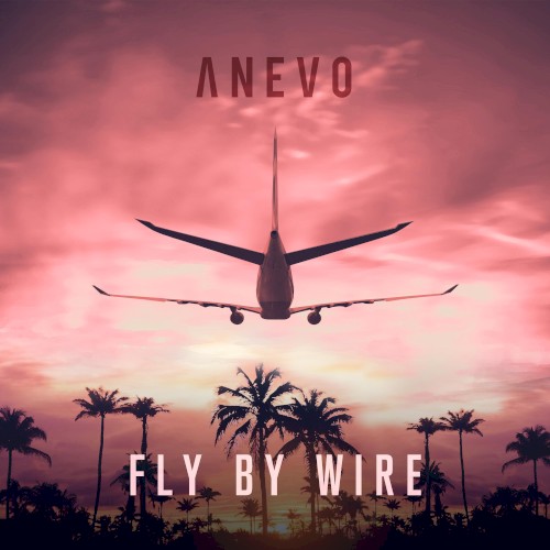 Fly by Wire