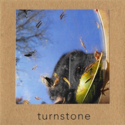 Turnstone by Turnstone