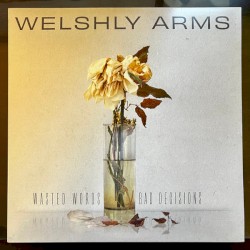 Wasted Words & Bad Decisions by Welshly Arms