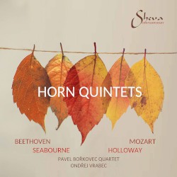 Horn Quintets by Beethoven ,   Mozart ,   Seabourne ,   Holloway ;   Ondřej Vrabec ,   Pavel Bořkovec Quartet