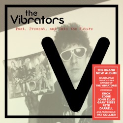 Past, Present, and Into The Future by The Vibrators