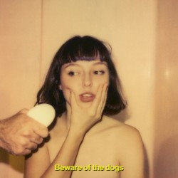 Beware of the Dogs by Stella Donnelly