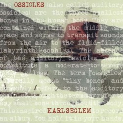 Ossicles by Karl Seglem