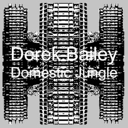 Domestic Jungle by Derek Bailey