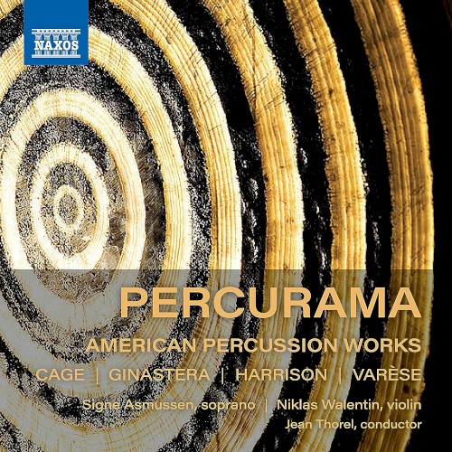 American Percussion Works