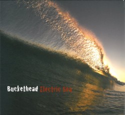 Electric Sea by Buckethead