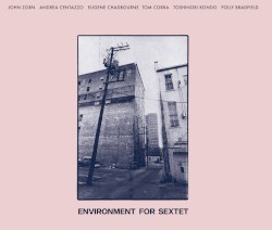 Environment For Sextet by Polly Bradfield ,   Andrea Centazzo ,   Eugene Chadbourne ,   Tom Cora ,   Toshinori Kondo ,   John Zorn