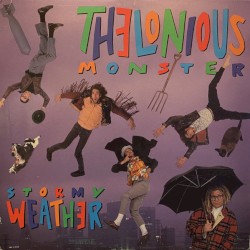 Stormy Weather by Thelonious Monster