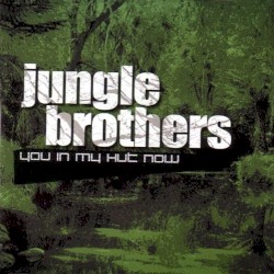 You In My Hut Now by Jungle Brothers