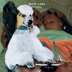 Deep Fantasy by White Lung