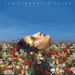 Magnolia by The Pineapple Thief