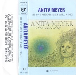 In the Meantime I Will Sing by Anita Meyer