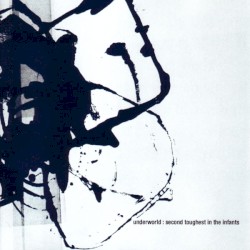 Second Toughest in the Infants by Underworld