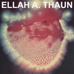 Happy 31 Honey by Ellah A. Thaun