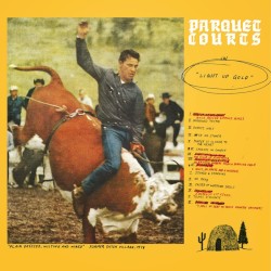 Light Up Gold by Parquet Courts