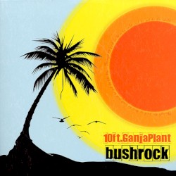 Bush Rock by 10 Ft. Ganja Plant