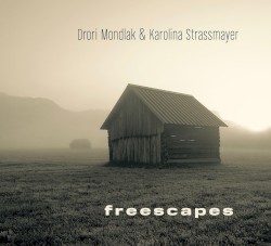 Freescapes by Drori Mondlak  &   Karolina Strassmayer