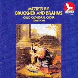 Motets by Bruckner and Brahms by Anton Bruckner ,   Johannes Brahms ;   Oslo Cathedral Choir ,   Terje Kvam