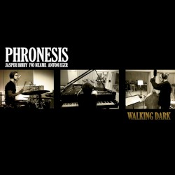 Walking Dark by Phronesis