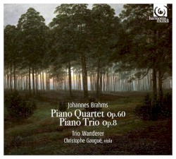 Piano Quartet, op. 60 / Piano Trio, op. 8 by Johannes Brahms ;   Trio Wanderer ,   Christophe Gaugué