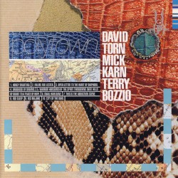 Polytown by David Torn ,   Mick Karn  &   Terry Bozzio