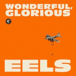 Wonderful, Glorious by EELS