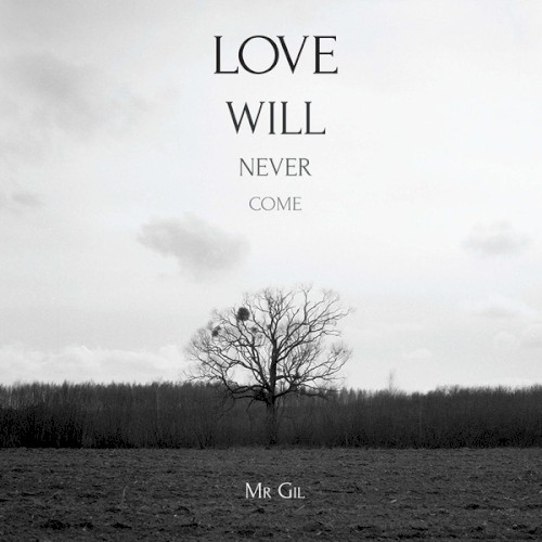 Love Will Never Come